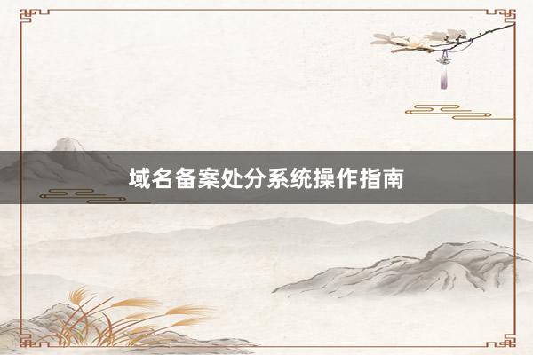 域名备案处分系统操作指南