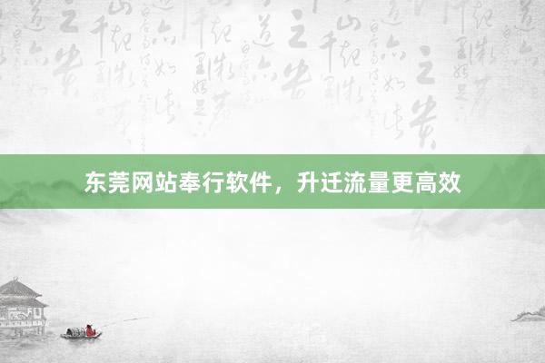 东莞网站奉行软件，升迁流量更高效
