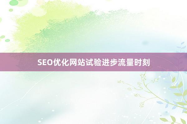 SEO优化网站试验进步流量时刻