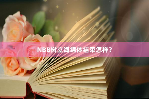 NBB树立海绵体结束怎样？