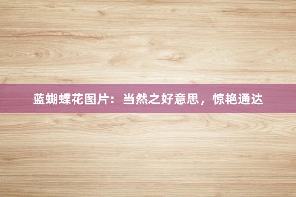 蓝蝴蝶花图片：当然之好意思，惊艳通达
