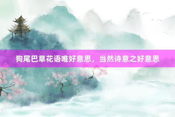 狗尾巴草花语唯好意思，当然诗意之好意思