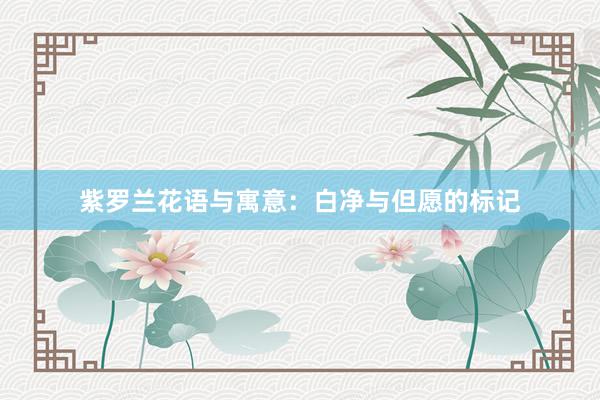 紫罗兰花语与寓意：白净与但愿的标记