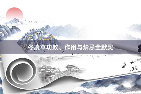 冬凌草功效、作用与禁忌全默契