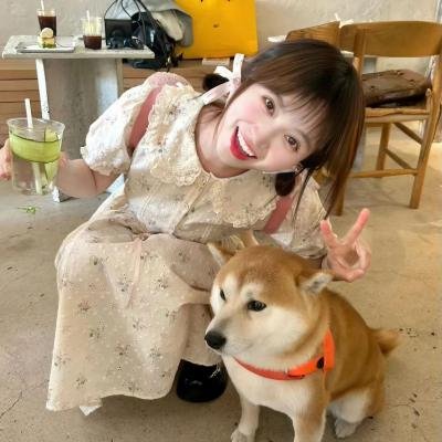 有只僵尸暗恋你粤语